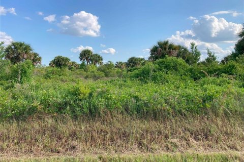 Купить земельный участок в Окичоби, Флорида № 1169664 - фото 19