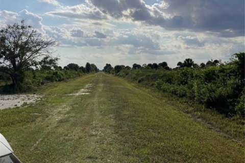 Купить земельный участок в Окичоби, Флорида № 1169664 - фото 29