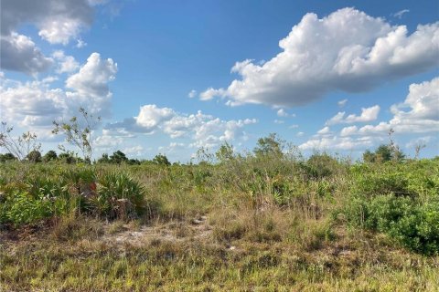 Купить земельный участок в Окичоби, Флорида № 1169664 - фото 30