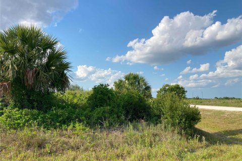 Купить земельный участок в Окичоби, Флорида № 1169664 - фото 6