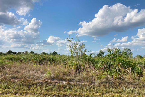 Купить земельный участок в Окичоби, Флорида № 1169664 - фото 27