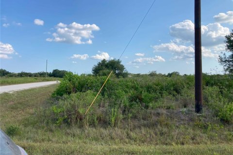 Купить земельный участок в Окичоби, Флорида № 1169664 - фото 4