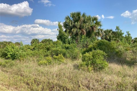 Купить земельный участок в Окичоби, Флорида № 1169664 - фото 8