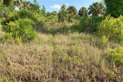 Купить земельный участок в Окичоби, Флорида № 1169664 - фото 17