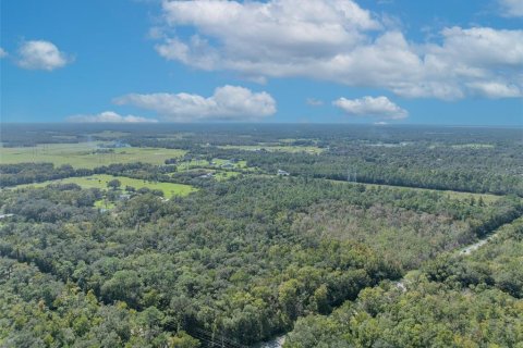 Terreno en venta en Geneva, Florida № 1403840 - foto 1