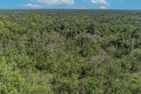 Terreno en venta en Geneva, Florida № 1403840 - foto 7