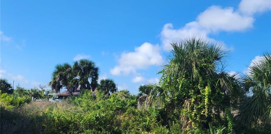 Terrain à Port Charlotte, Floride № 875568