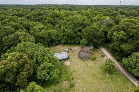 Land in Apopka, Florida № 1315228 - photo 7