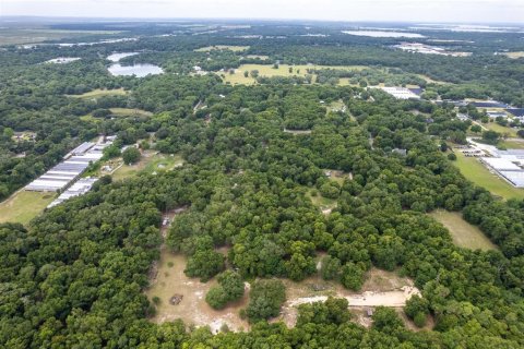 Land in Apopka, Florida № 1315228 - photo 6