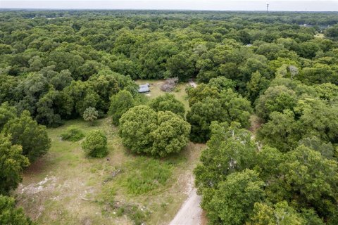 Terrain à vendre à Apopka, Floride № 1315228 - photo 4