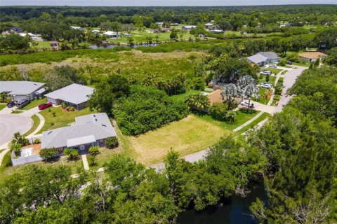 Terreno en venta en New Smyrna Beach, Florida № 1318040 - foto 3