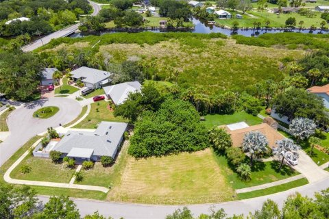 Land in New Smyrna Beach, Florida № 1318040 - photo 5