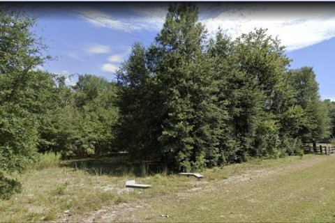 Land in High Springs, Florida № 1379692 - photo 1