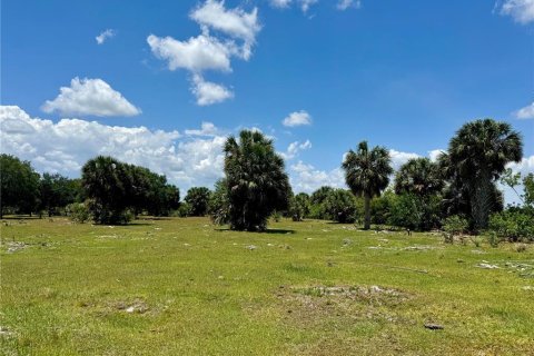 Купить земельный участок в Окичоби, Флорида № 1163405 - фото 1