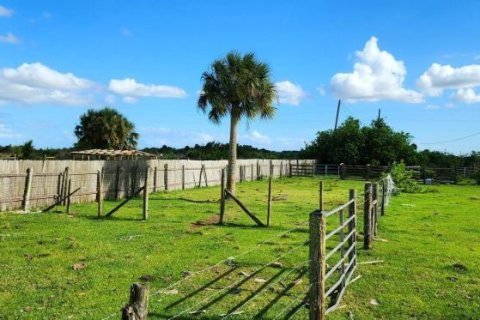 Купить земельный участок в Окичоби, Флорида № 1163405 - фото 5