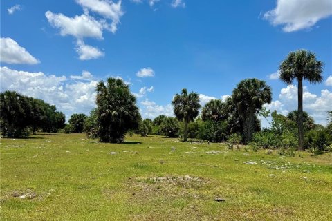 Купить земельный участок в Окичоби, Флорида № 1163405 - фото 3