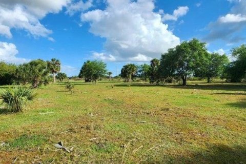 Купить земельный участок в Окичоби, Флорида № 1163405 - фото 14