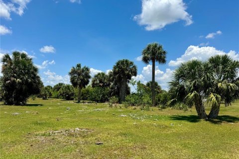 Купить земельный участок в Окичоби, Флорида № 1163405 - фото 16