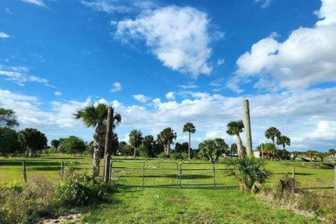Купить земельный участок в Окичоби, Флорида № 1163405 - фото 13