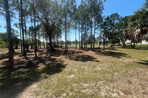 Land in Okeechobee, Florida № 1126550 - photo 21