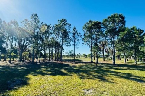 Land in Okeechobee, Florida № 1126550 - photo 8