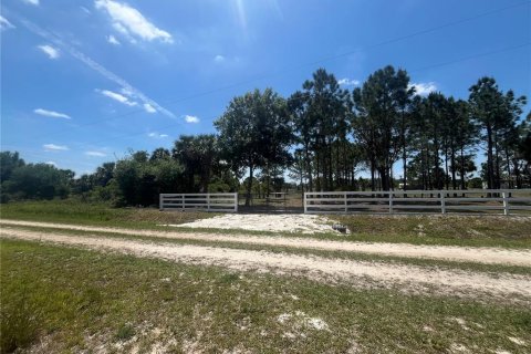 Land in Okeechobee, Florida № 1126550 - photo 18