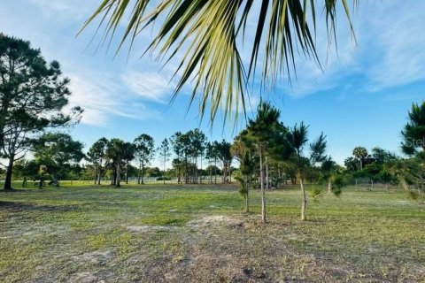 Land in Okeechobee, Florida № 1126550 - photo 2