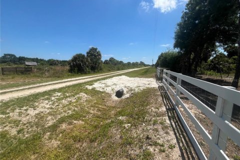 Land in Okeechobee, Florida № 1126550 - photo 23