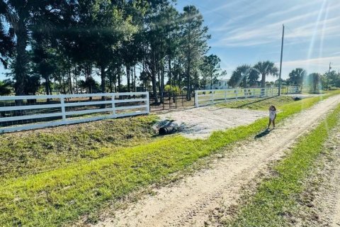 Land in Okeechobee, Florida № 1126550 - photo 10