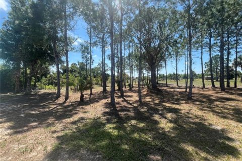 Land in Okeechobee, Florida № 1126550 - photo 22