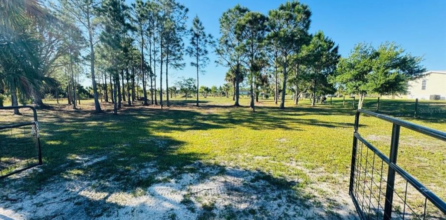 Terrain à Okeechobee, Floride № 1126550