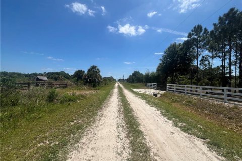 Land in Okeechobee, Florida № 1126550 - photo 20