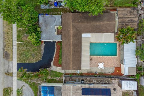 Villa ou maison à vendre à Hollywood, Floride: 4 chambres № 967896 - photo 4