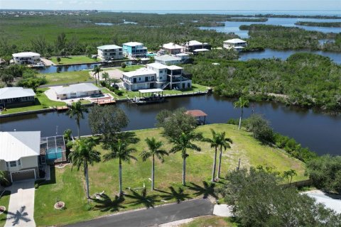 Terrain à vendre à Punta Gorda, Floride № 1088852 - photo 3