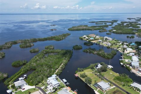 Terrain à vendre à Punta Gorda, Floride № 1088852 - photo 13