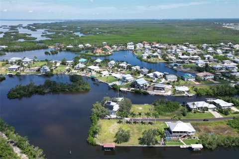 Terrain à vendre à Punta Gorda, Floride № 1088852 - photo 11