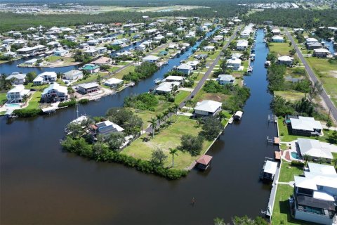 Terrain à vendre à Punta Gorda, Floride № 1088852 - photo 27