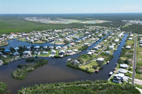 Terrain à vendre à Punta Gorda, Floride № 1088852 - photo 26