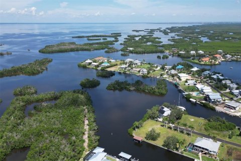 Terrain à vendre à Punta Gorda, Floride № 1088852 - photo 12