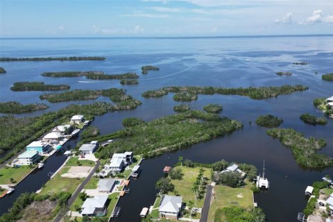 Terrain à vendre à Punta Gorda, Floride № 1088852 - photo 14