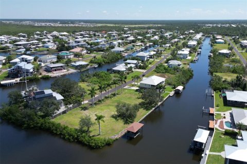 Land in Punta Gorda, Florida № 1088852 - photo 10