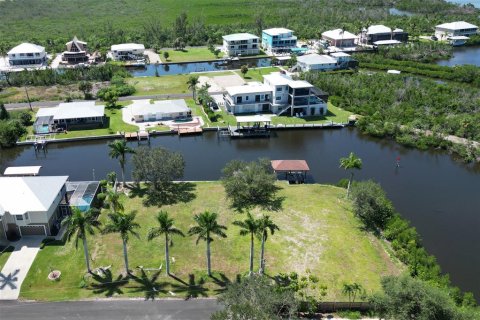 Terrain à vendre à Punta Gorda, Floride № 1088852 - photo 4