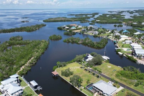 Terrain à vendre à Punta Gorda, Floride № 1088852 - photo 22