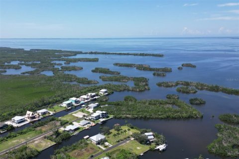 Terrain à vendre à Punta Gorda, Floride № 1088852 - photo 25