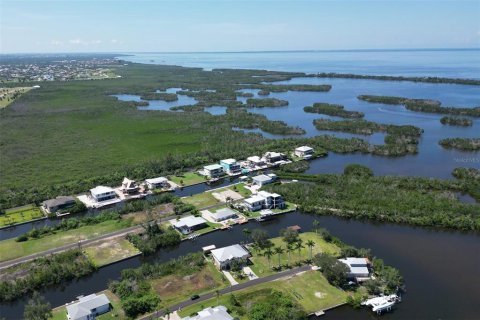 Terrain à vendre à Punta Gorda, Floride № 1088852 - photo 16