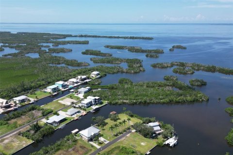 Land in Punta Gorda, Florida № 1088852 - photo 15