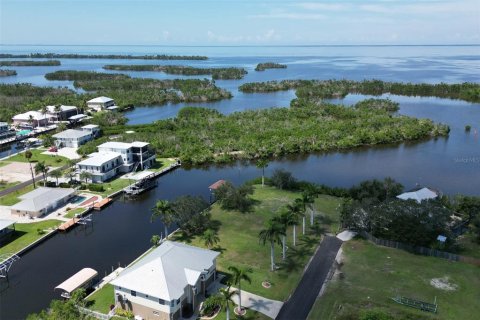 Terrain à vendre à Punta Gorda, Floride № 1088852 - photo 7