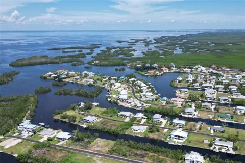 Terrain à vendre à Punta Gorda, Floride № 1088852 - photo 24