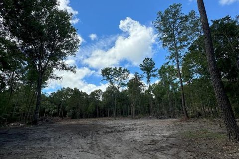 Terreno en venta en Reddick, Florida № 1337555 - foto 12