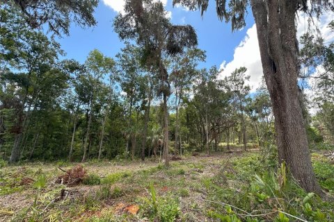 Terreno en venta en Reddick, Florida № 1337555 - foto 15